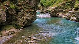IMG_5911.JPG