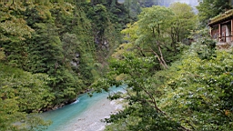 IMG_5919.JPG