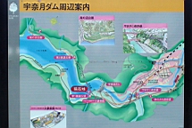 DSC00329.JPG