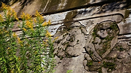 IMG_6009.JPG