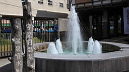 IMG_6021.JPG