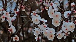 2014-03-221410.JPG