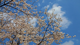 2014-03-221427.JPG