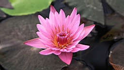 2014-03-221475.JPG