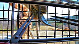 2014-03-231606.JPG