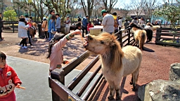 2014-03-231617.JPG