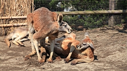 2014-03-231640.JPG