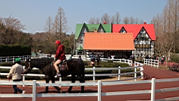 2014-03-231653.JPG