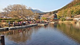 2014-03-231659.JPG