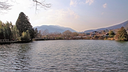2014-03-231664.JPG