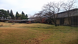 2014-03-251863.JPG