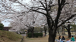 2014-03-251873.JPG