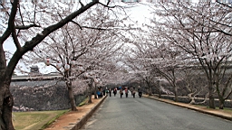 2014-03-251876.JPG