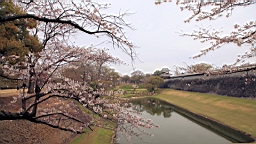 2014-03-251877.JPG