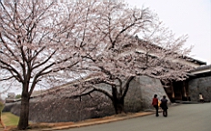 2014-03-251888.JPG