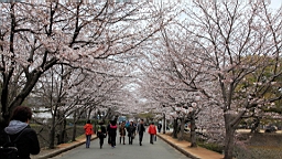 2014-03-251891.JPG