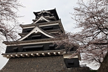 2014-03-251910.JPG