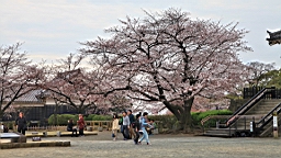 2014-03-251917.JPG