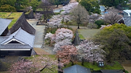 2014-03-251921.JPG