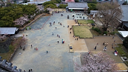 2014-03-251922.JPG