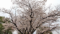 2014-03-251951.JPG