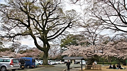 2014-03-251979.JPG