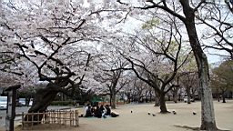 2014-03-251980.JPG