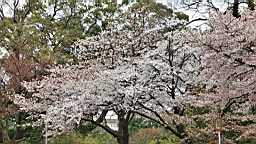 2014-03-251982.JPG