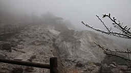 2014-03-262147.JPG