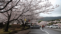 2014-03-262155.JPG
