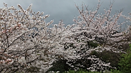 2014-03-262156.JPG
