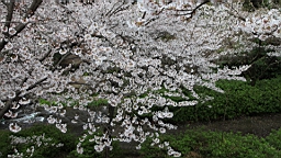 2014-03-262157.JPG
