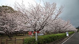 2014-03-262164.JPG