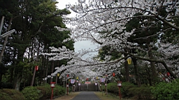 2014-03-262167.JPG