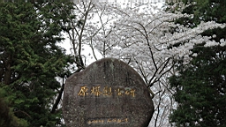 2014-03-262172.JPG