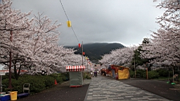 2014-03-262176.JPG