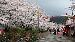 2014-03-262183.JPG