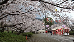 2014-03-262184.JPG