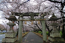 2014-03-262188.JPG