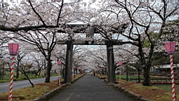 2014-03-262195.JPG