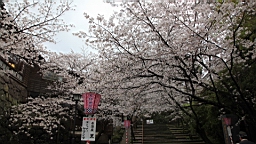 2014-03-262198.JPG