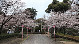 2014-03-262203.JPG