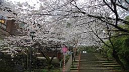 2014-03-262206.JPG