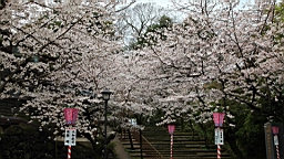 2014-03-262230.JPG