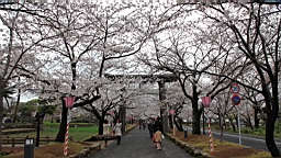 2014-03-262244.JPG