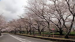 2014-03-262252.JPG