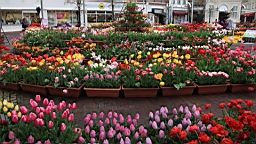 2014-03-262270.JPG