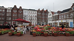 2014-03-262279.JPG