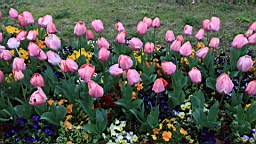 2014-03-262288.JPG