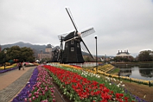 2014-03-262298.JPG